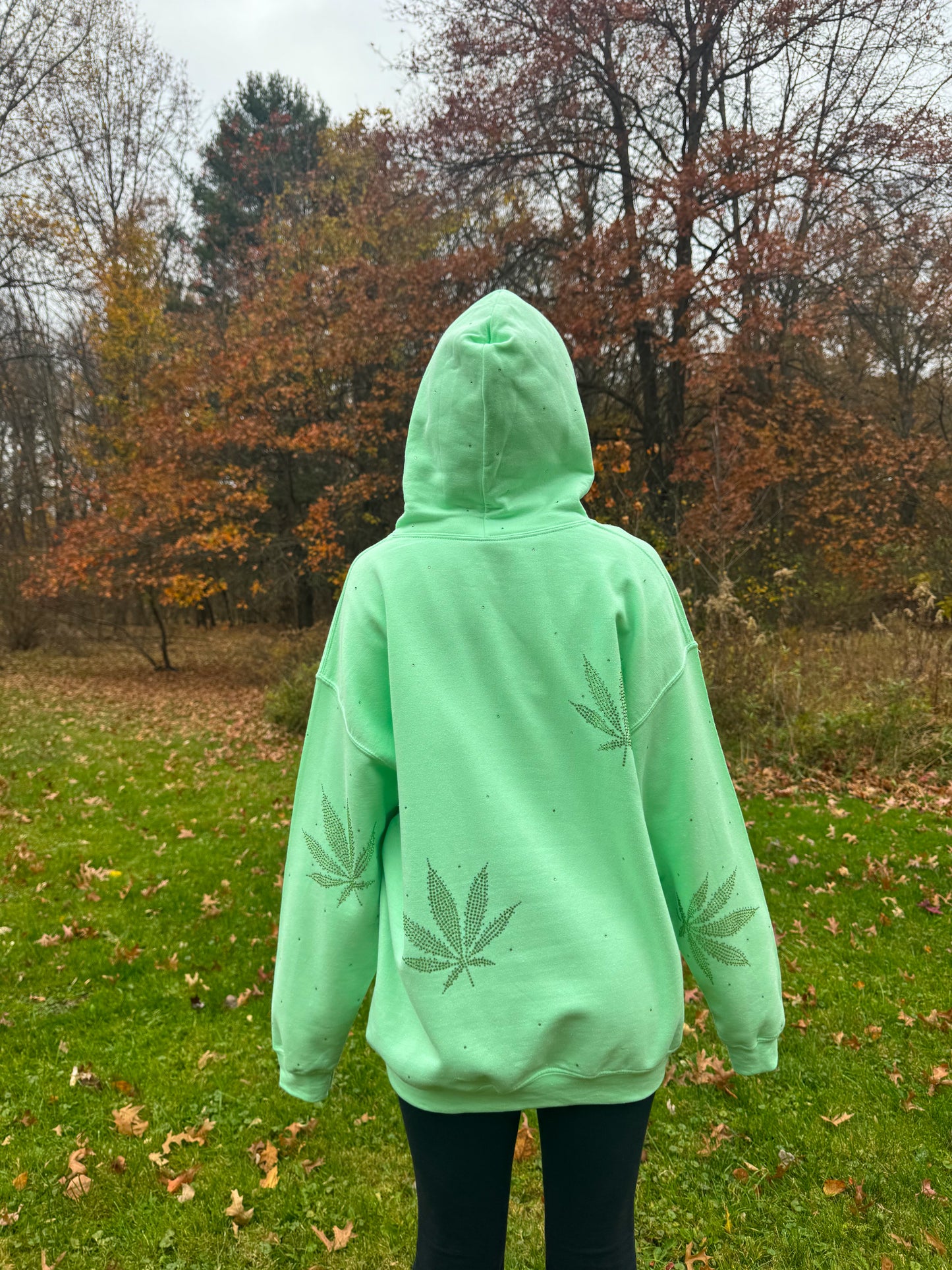 holo charmed  high frequency hoodie